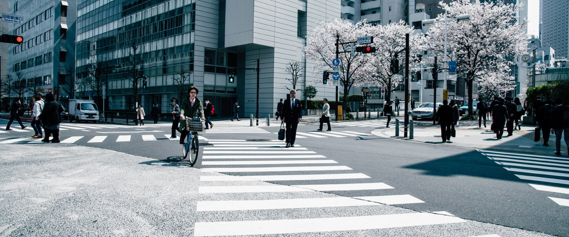 LPE88 Lucky Palace Download